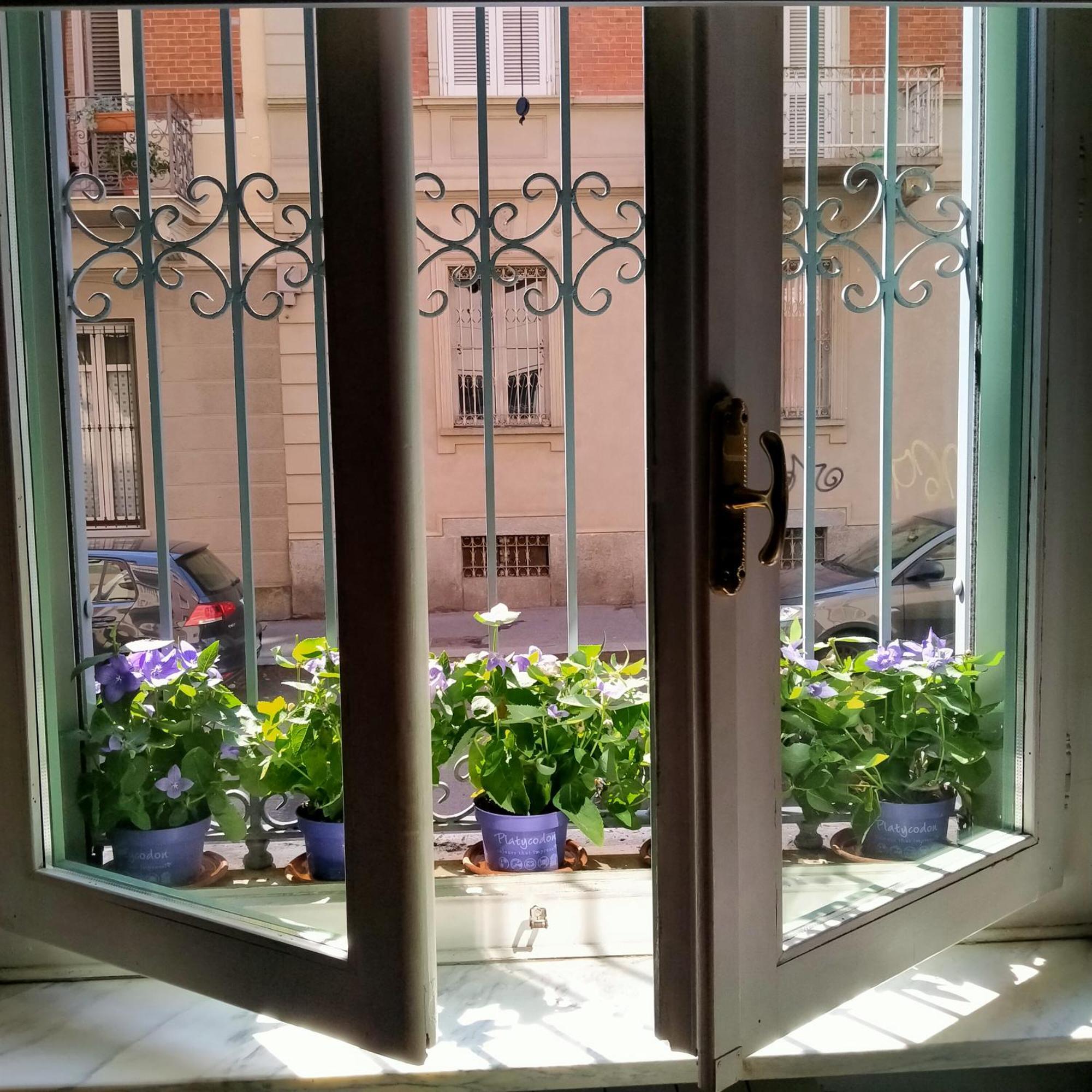La Graziosa Torino, Porta Susa Extérieur photo